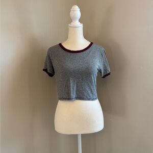 Pacsun Striped Gray and Burgundy Crop Top